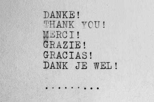 Schrift auf grauem Grund mit Danke, thank you, Merci, Grazie, Gracias und Dank je wel